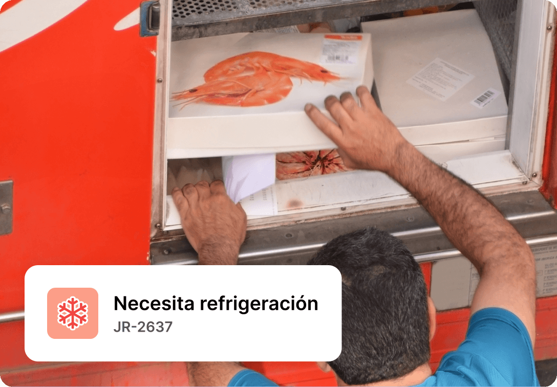 Foto de una persona que trabaja en la logística de la cadena de frío y comprueba un cargamento de alimentos congelados dentro del camión.