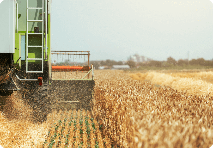 Foto de una cosechadora equipada con sistemas de cámaras de flota y trabajando en un campo.